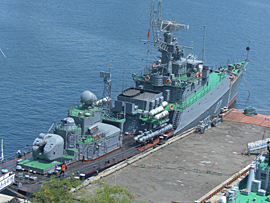 Sevastopol ships