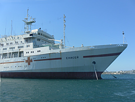 Sevastopol ships