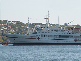 Sevastopol ships